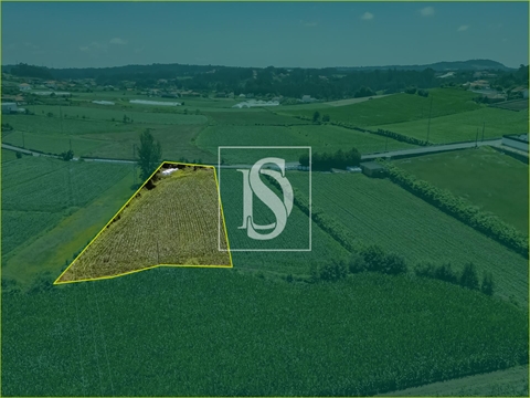 Moradia para Restaurar T2