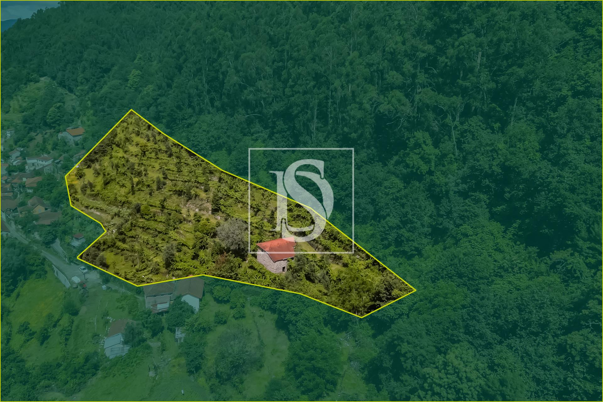 Moradia para Restaurar T2