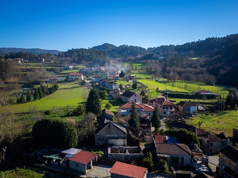 Quinta
