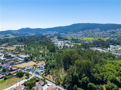 Terreno misto com potencial de construção em Barcelos